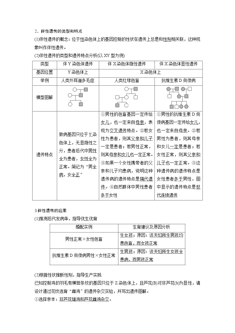 2024年高考生物一轮复习（新人教版） 第5单元　第8课时　伴性遗传的特点与应用及人类遗传病 练习课件02