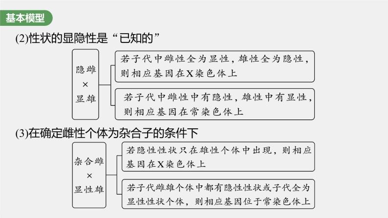 2024年高考生物一轮复习（新人教版） 第5单元　第9课时　与性染色体相关的基因位置的分析与判断题型突破04