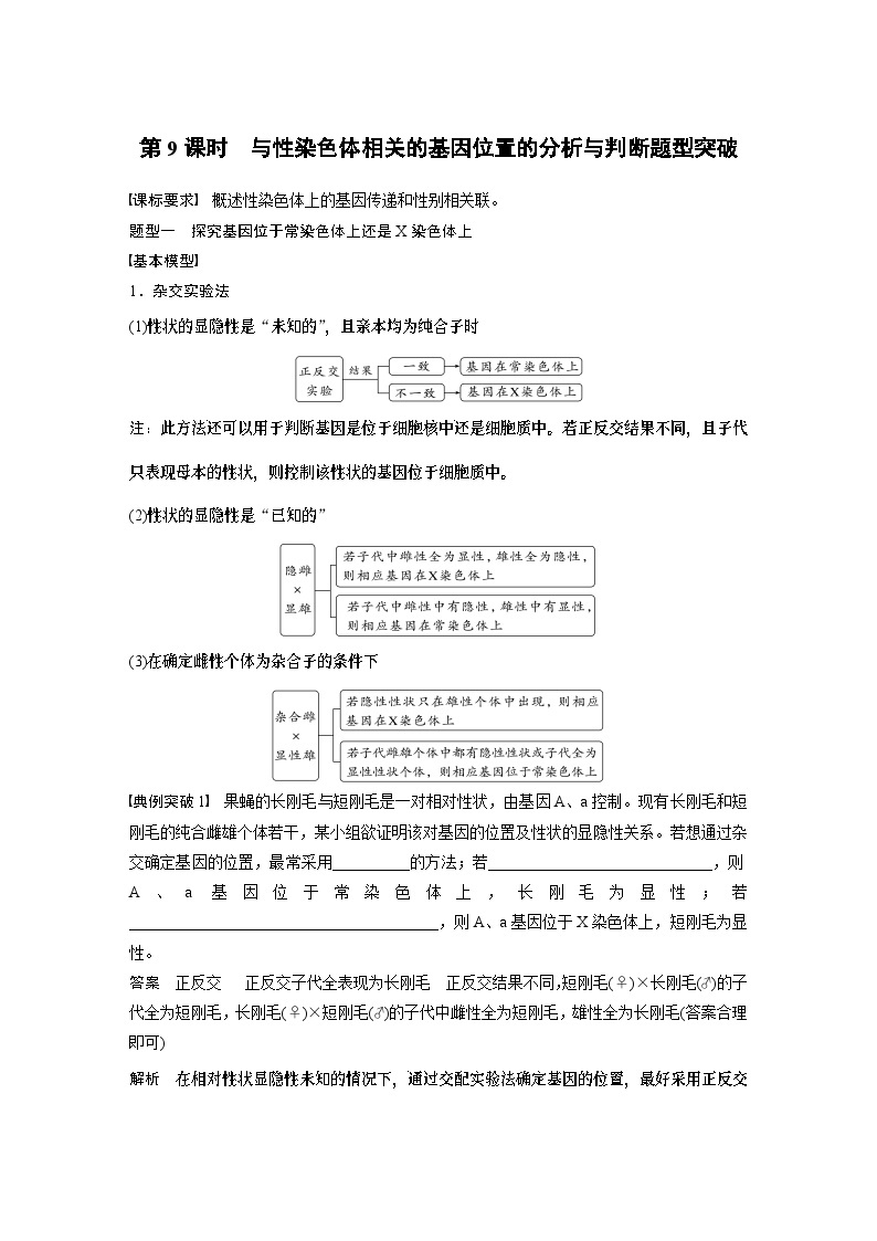 2024年高考生物一轮复习（新人教版） 第5单元　第9课时　与性染色体相关的基因位置的分析与判断题型突破01