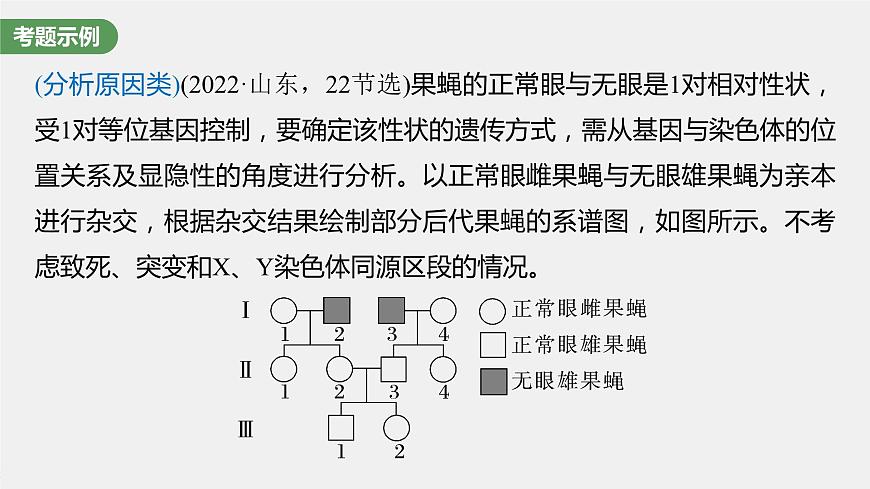 2024年高考生物一輪復習(新人教版) 第5單元 長句表達(三) 遺傳實驗中相關推理分析第2頁