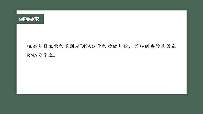 2024年高考生物一轮复习(新人教版) 第6单元 第1课时 DNA是主要的遗传物质第2页