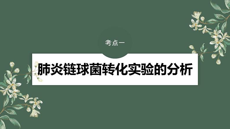 2024年高考生物一轮复习(新人教版) 第6单元 第1课时 DNA是主要的遗传物质第4页