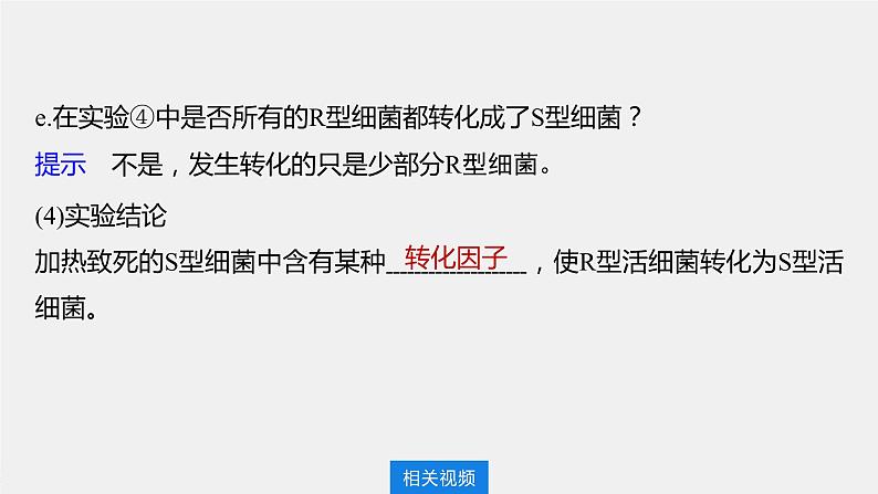 2024年高考生物一轮复习(新人教版) 第6单元 第1课时 DNA是主要的遗传物质第8页