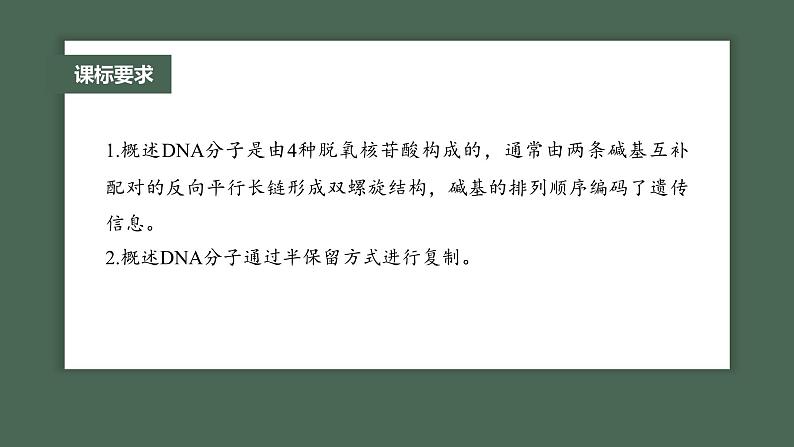 2024年高考生物一轮复习(新人教版) 第6单元 第2课时 DNA的结构与复制第2页