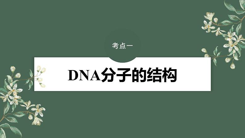 2024年高考生物一轮复习(新人教版) 第6单元 第2课时 DNA的结构与复制第4页