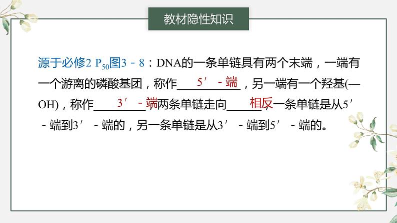 2024年高考生物一轮复习(新人教版) 第6单元 第2课时 DNA的结构与复制第8页