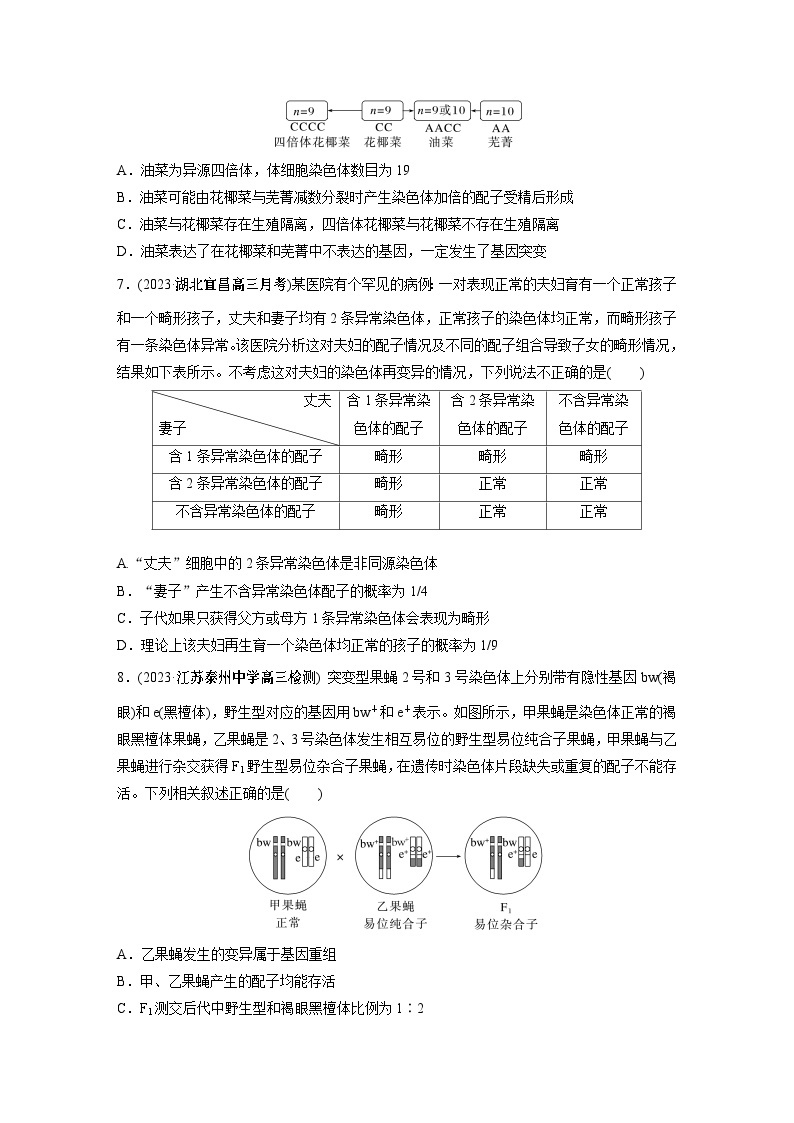 2024年高考生物一轮复习（新人教版） 第7单元　第2课时　染色体变异 练习课件03