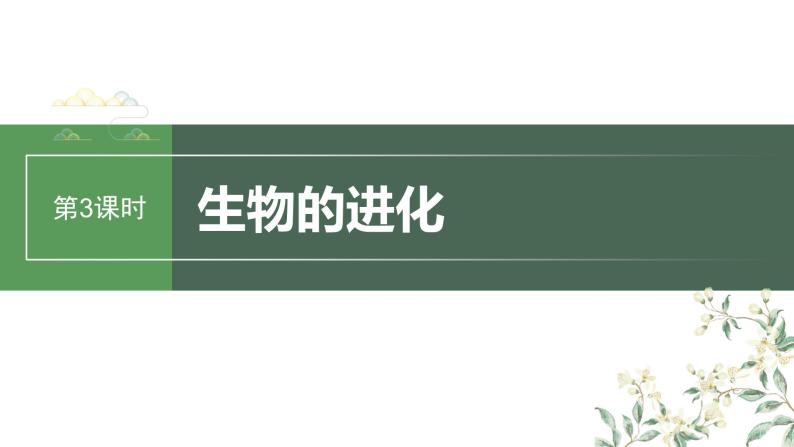 2024年高考生物一轮复习（新人教版） 第7单元　第3课时　生物的进化 练习课件01