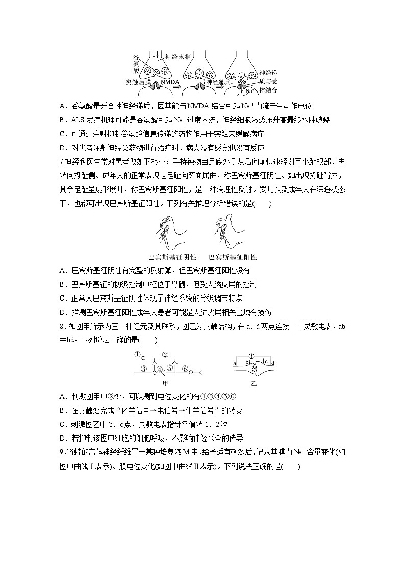 2024年高考生物一轮复习(新人教版) 第8单元 第3课时 神经冲动的产生、传导和传递 练习课件03