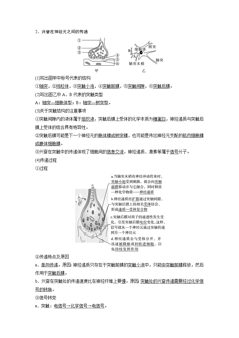 2024年高考生物一轮复习(新人教版) 第8单元 第3课时 神经冲动的产生、传导和传递 练习课件02