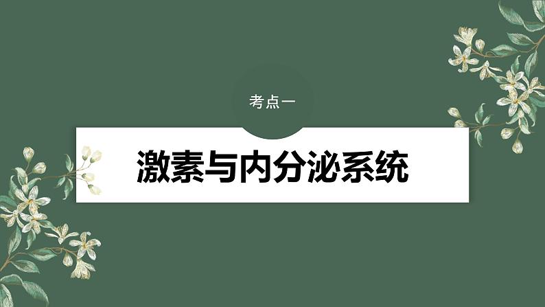 2024年高考生物一轮复习(新人教版) 第8单元 第5课时 激素与内分泌系统、激素调节的过程 练习课件04