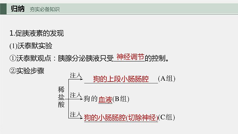 2024年高考生物一轮复习(新人教版) 第8单元 第5课时 激素与内分泌系统、激素调节的过程 练习课件05