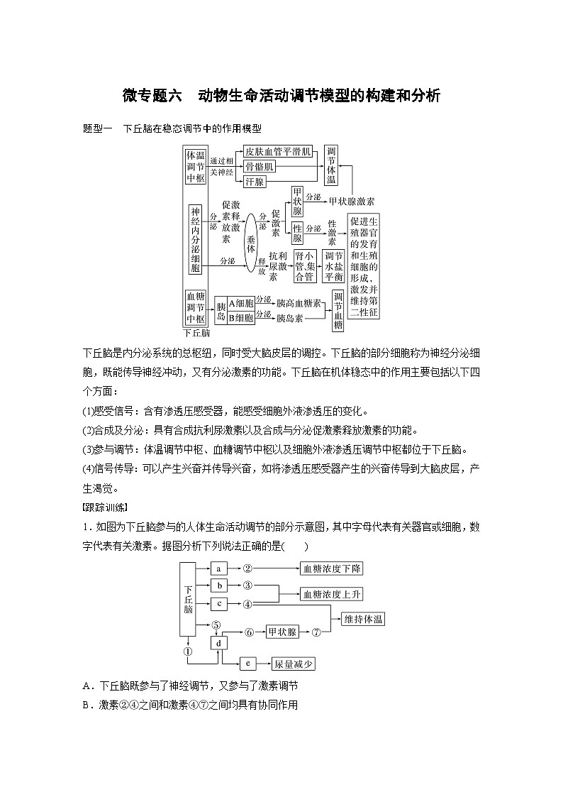 2024年高考生物一轮复习(新人教版) 第8单元 微专题六 动物生命活动调节模型的构建和分析01