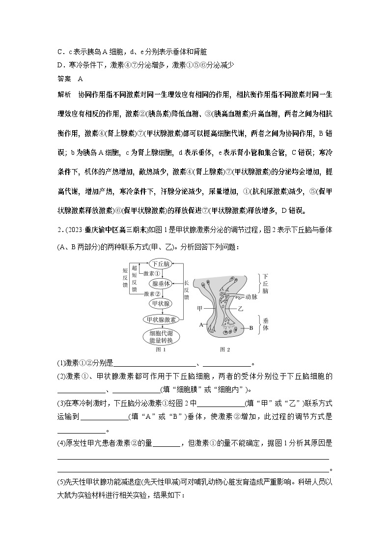 2024年高考生物一轮复习（新人教版） 第8单元　微专题六　动物生命活动调节模型的构建和分析02