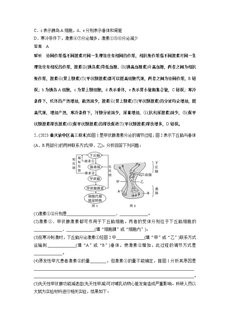 2024年高考生物一轮复习(新人教版) 第8单元 微专题六 动物生命活动调节模型的构建和分析02
