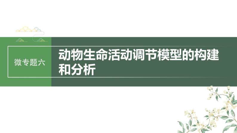 2024年高考生物一轮复习（新人教版） 第8单元　微专题六　动物生命活动调节模型的构建和分析01