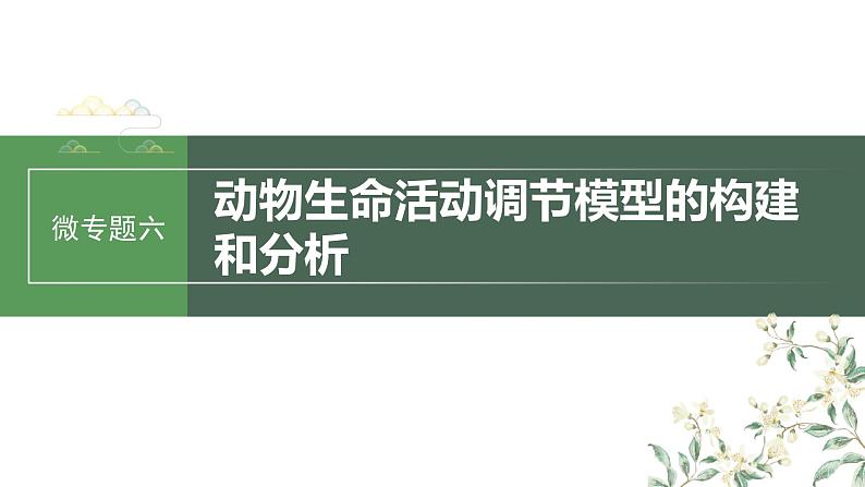 2024年高考生物一轮复习(新人教版) 第8单元 微专题六 动物生命活动调节模型的构建和分析01