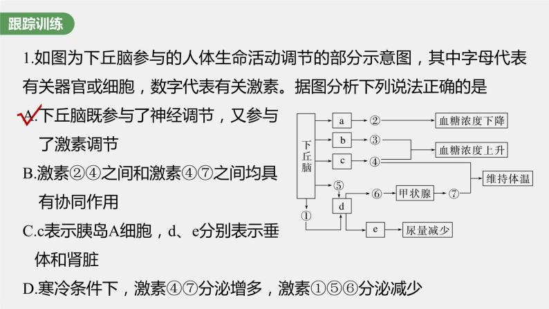 2024年高考生物一轮复习（新人教版） 第8单元　微专题六　动物生命活动调节模型的构建和分析04