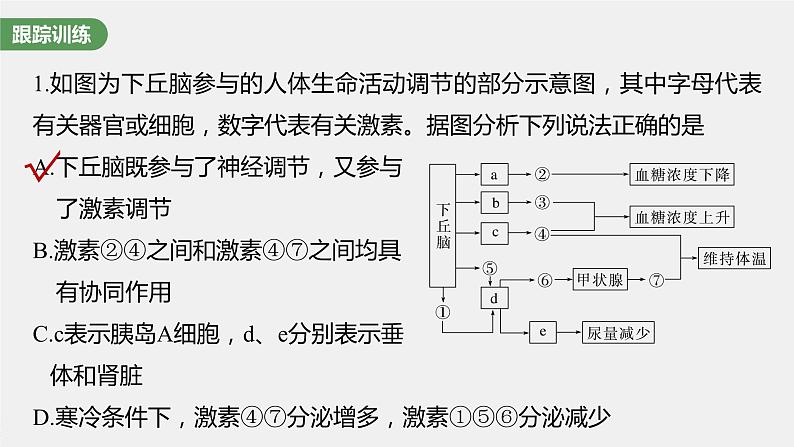 2024年高考生物一轮复习(新人教版) 第8单元 微专题六 动物生命活动调节模型的构建和分析04