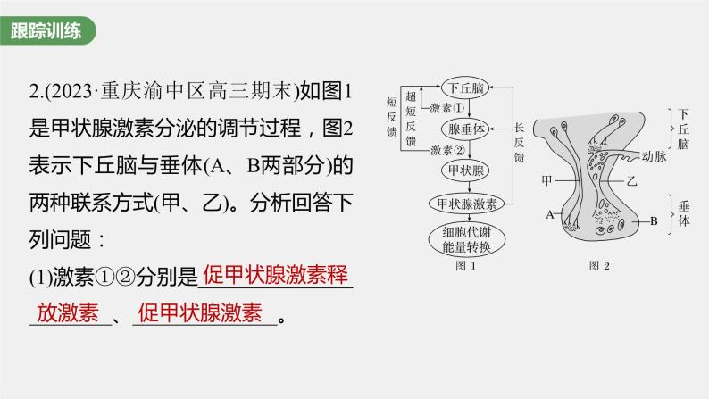 2024年高考生物一轮复习（新人教版） 第8单元　微专题六　动物生命活动调节模型的构建和分析07