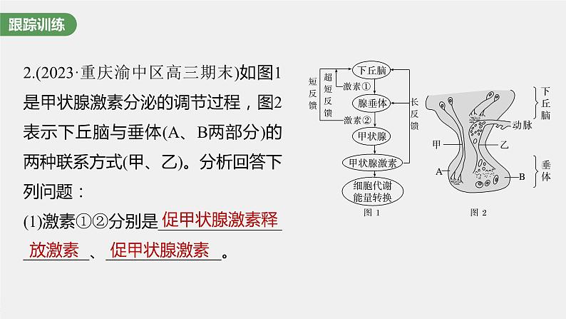 2024年高考生物一轮复习(新人教版) 第8单元 微专题六 动物生命活动调节模型的构建和分析07