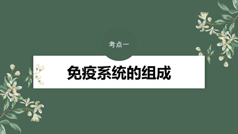 2024年高考生物一轮复习(新人教版) 第8单元 第7课时 免疫系统和特异性免疫 练习课件04
