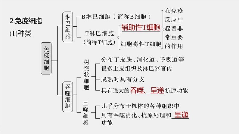 2024年高考生物一轮复习(新人教版) 第8单元 第7课时 免疫系统和特异性免疫 练习课件06
