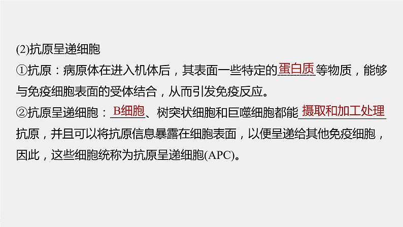 2024年高考生物一轮复习(新人教版) 第8单元 第7课时 免疫系统和特异性免疫 练习课件07