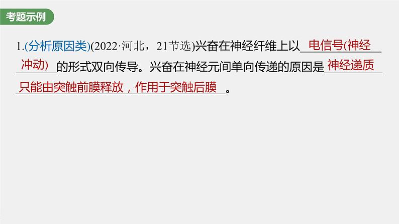 2024年高考生物一轮复习(新人教版) 第8单元 长句表达(四) 个体稳态中相关过程变化机理分析 课件02