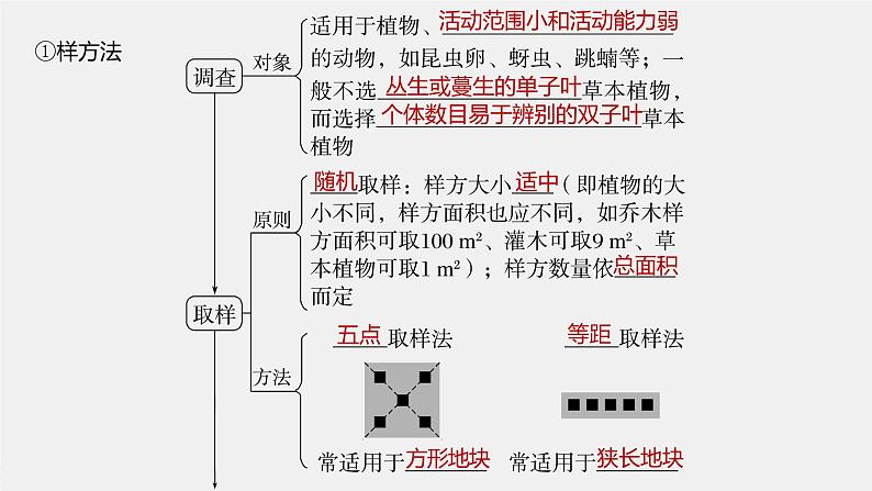 2024年高考生物一轮复习(新人教版) 第9单元 第1课时 种群的数量特征 练习课件07