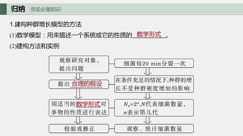 2024年高考生物一轮复习(新人教版) 第9单元 第2课时 种群数量的变化及其影响因素 练习课件05