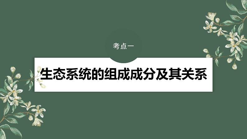 2024年高考生物一轮复习(新人教版) 第9单元 第5课时 生态系统的结构第4页