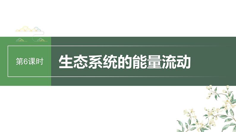 2024年高考生物一轮复习(新人教版) 第9单元 第6课时 生态系统的能量流动第1页