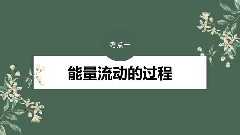 2024年高考生物一轮复习(新人教版) 第9单元 第6课时 生态系统的能量流动第4页
