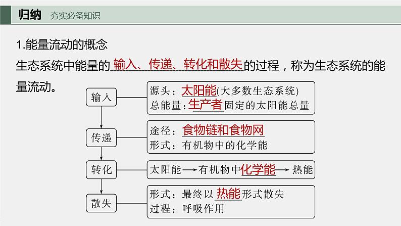 2024年高考生物一轮复习(新人教版) 第9单元 第6课时 生态系统的能量流动第5页