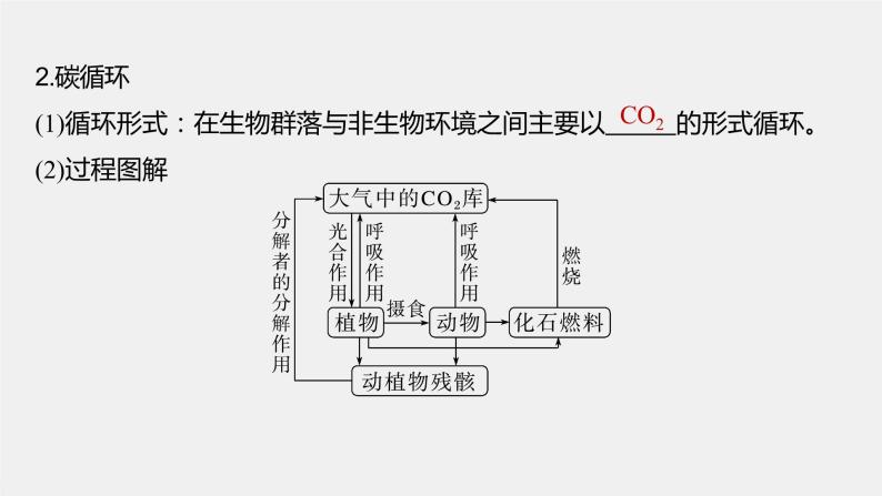 2024年高考生物一轮复习（新人教版） 第9单元　第7课时　生态系统的物质循环、信息传递 练习课件06