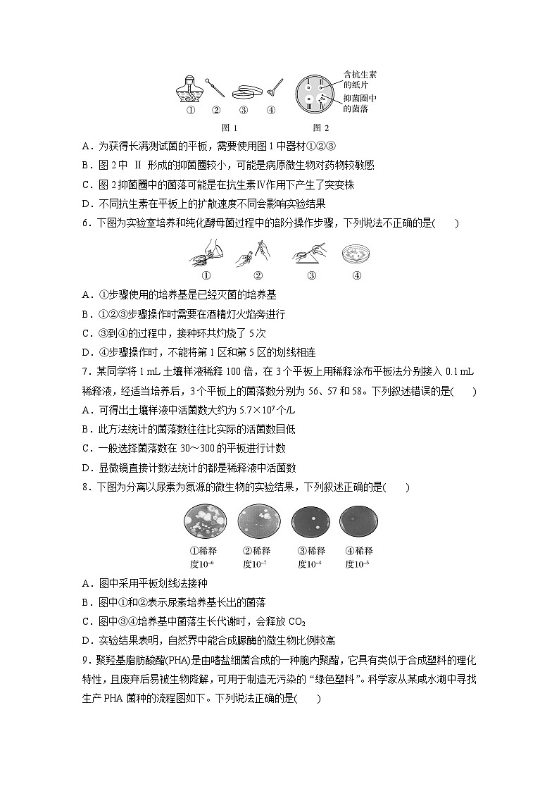 第10单元 课时练2 微生物的培养技术及应用第2页