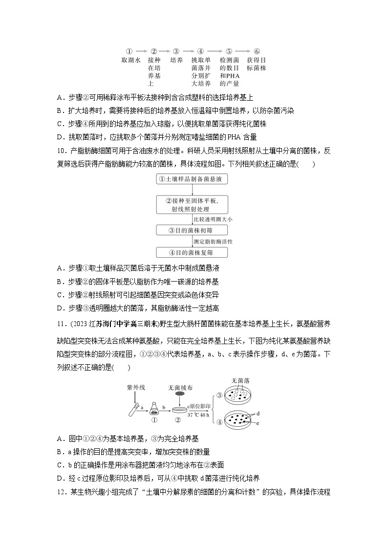 2024年高考生物一轮复习（新人教版） 第10单元　第2课时　微生物的培养技术及应用 练习课件03