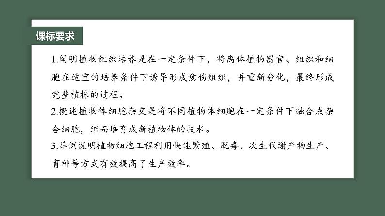 2024年高考生物一轮复习(新人教版) 第10单元 第3课时 植物细胞工程第2页