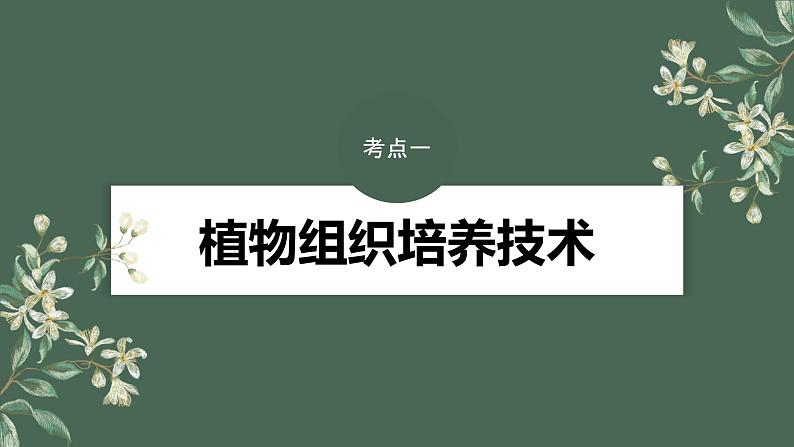 2024年高考生物一轮复习(新人教版) 第10单元 第3课时 植物细胞工程第4页
