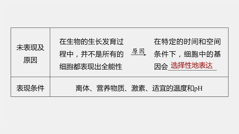 2024年高考生物一轮复习(新人教版) 第10单元 第3课时 植物细胞工程第7页