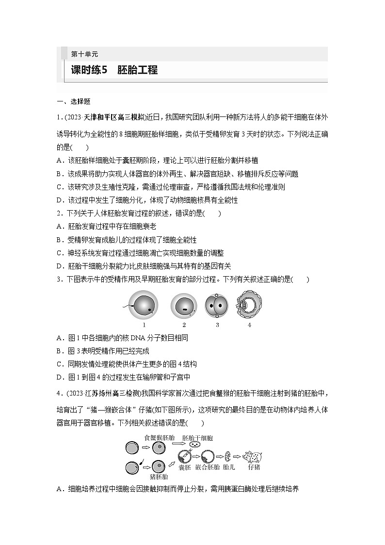 第10单元 课时练5 胚胎工程第1页