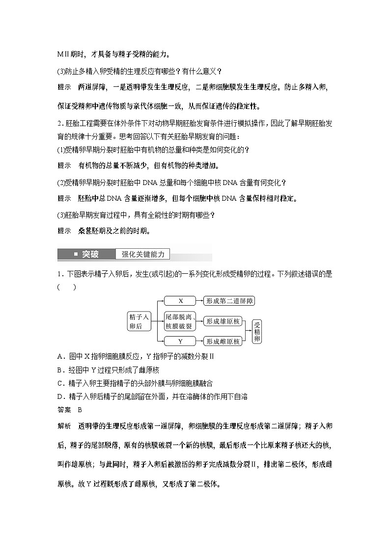2024年高考生物一轮复习(新人教版) 第10单元 第5课时 胚胎工程第3页