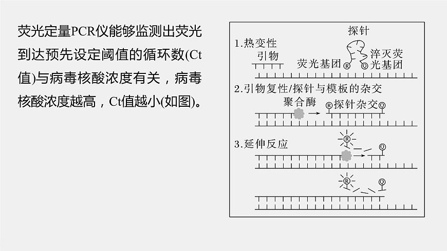 2024年高考生物一輪復(fù)習(xí)(新人教版) 第10單元 解惑練4 PCR技術(shù)拓展應(yīng)用第5頁(yè)
