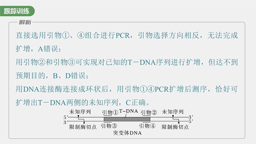 2024年高考生物一輪復(fù)習(xí)(新人教版) 第10單元 解惑練4 PCR技術(shù)拓展應(yīng)用第7頁(yè)