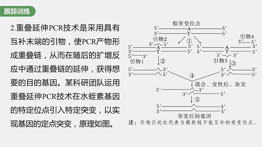 2024年高考生物一輪復(fù)習(xí)(新人教版) 第10單元 解惑練4 PCR技術(shù)拓展應(yīng)用第8頁(yè)