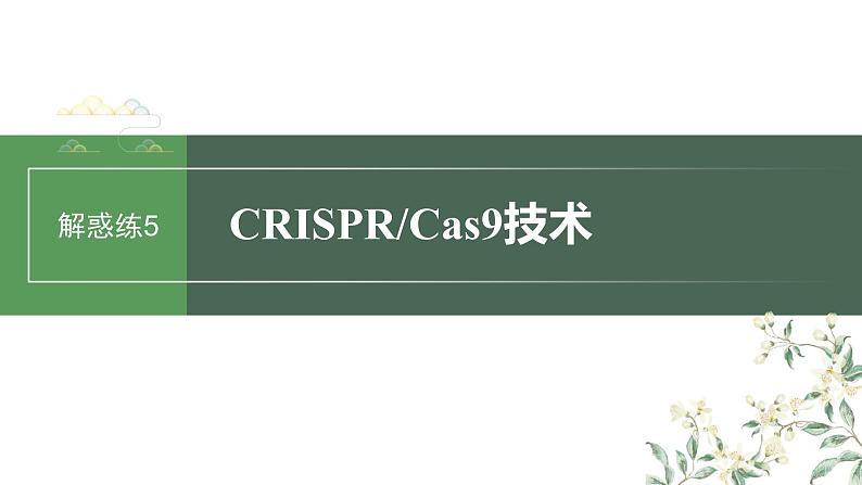 2024年高考生物一轮复习(新人教版) 第10单元 解惑练5 CRISPR Cas9技术第1页