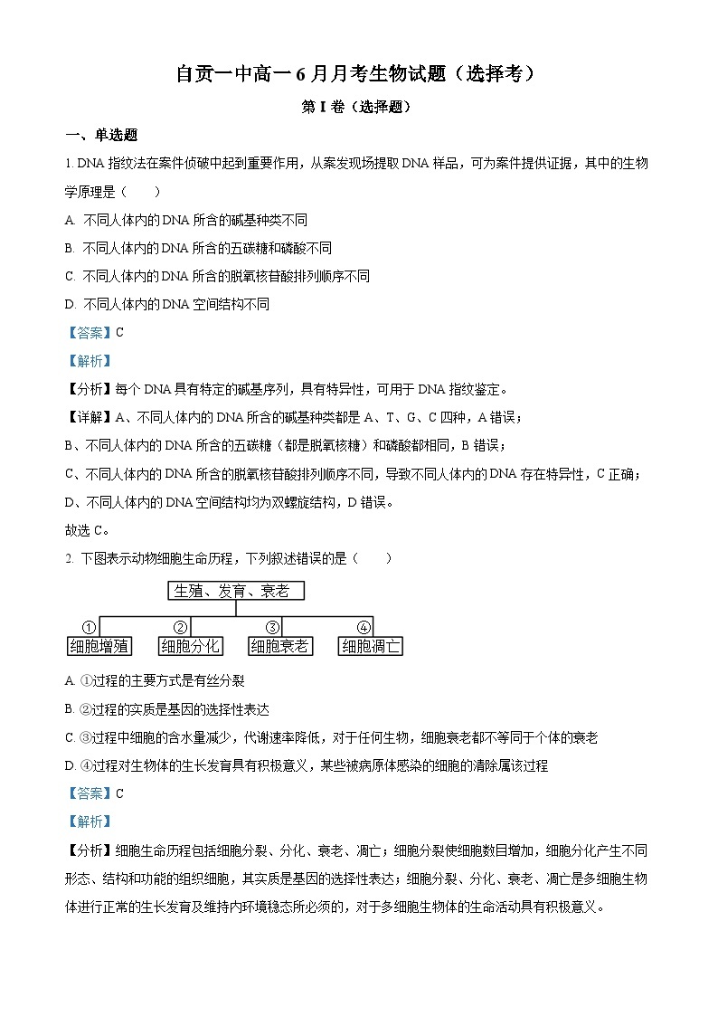 四川省自贡市第一中学2022-2023学年高一生物下学期6月月考试题（Word版附解析）01