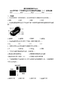 湖北省普通高中2022-2023学年高一下学期学业水平合格性考试模拟（一）生物试卷（含答案）