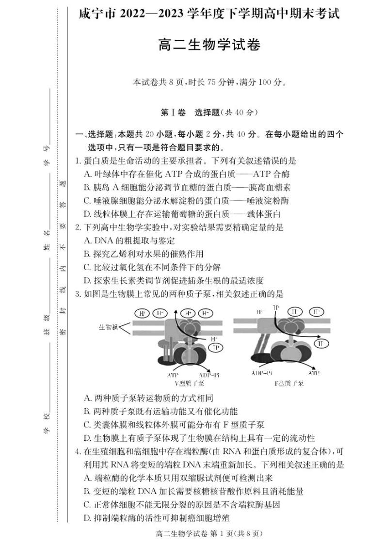 湖北省咸宁市2022-2023高二下学期期末生物试卷+答案01